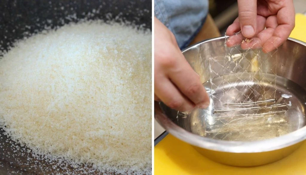 Metabolic Pathways Diagram